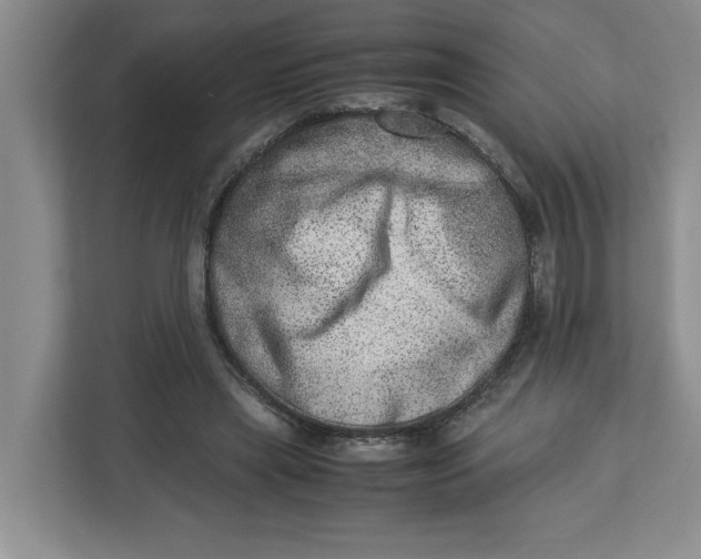 X0000112950445200909141411