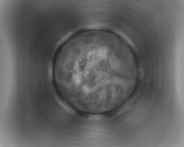 X0000112950446200909141411