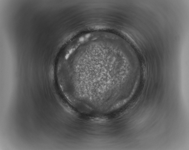 X0000112950447200909141411