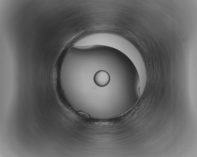 X0000112950448200909141411