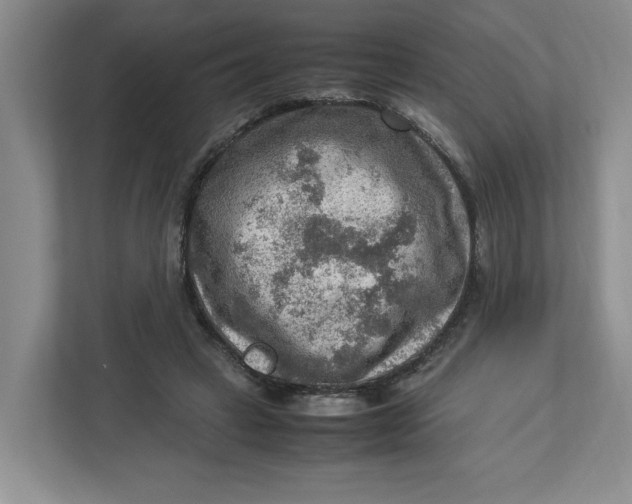 X0000112950449200909141411