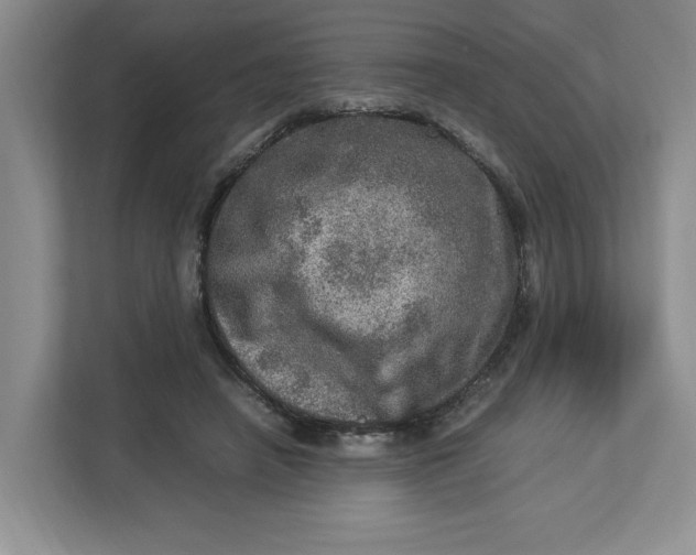 X0000112950450200909141411