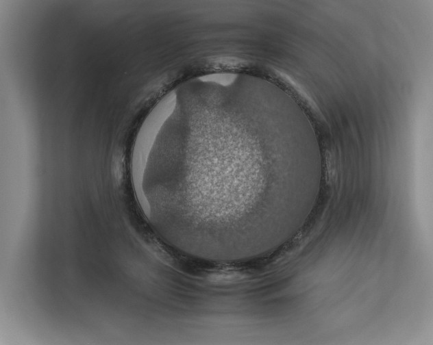 X0000112950451200909141411