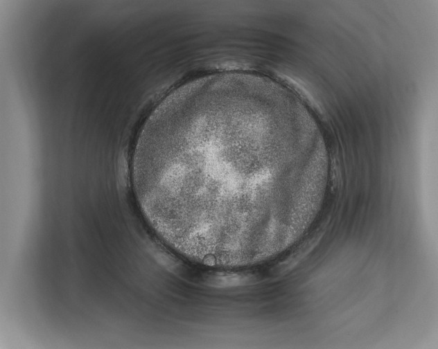 X0000112950453200909141411