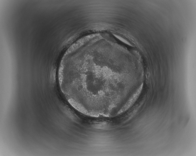 X0000112950454200909141411