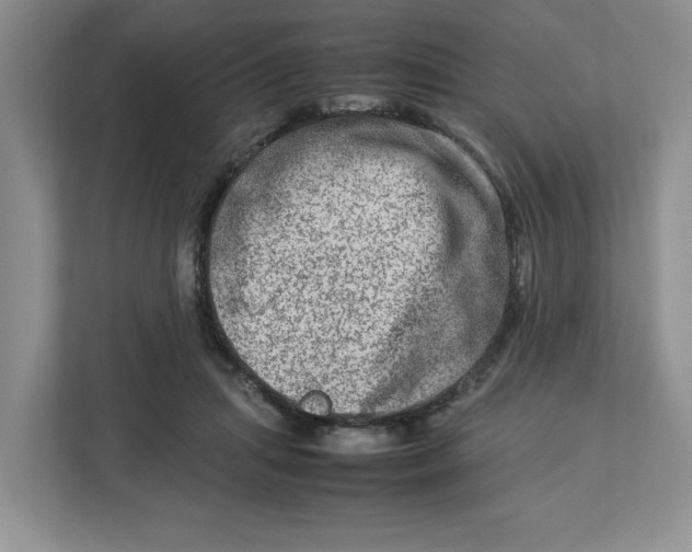 X0000112950455200909141411