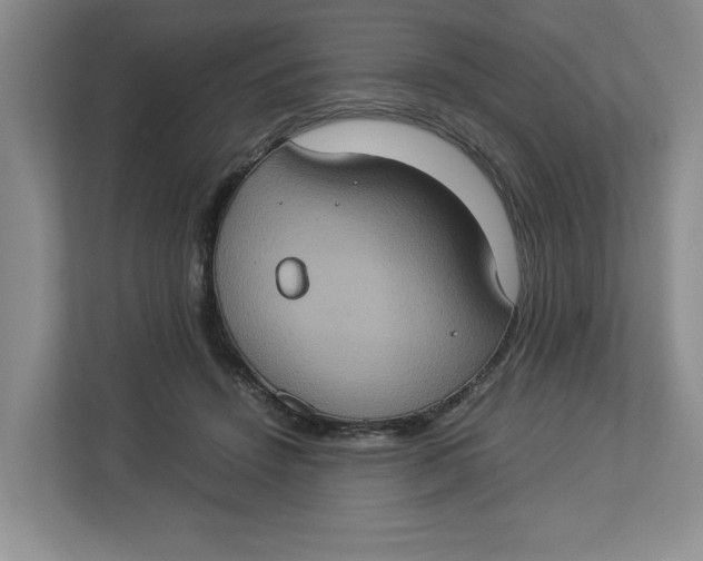 X0000112950456200909141411