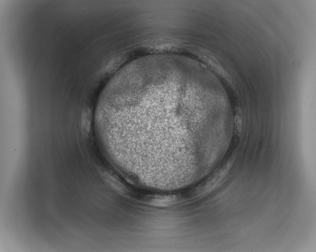 X0000112950458200909141411