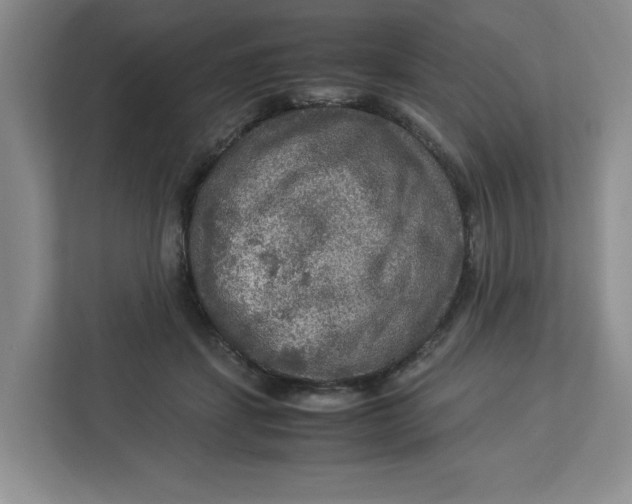 X0000112950459200909141411