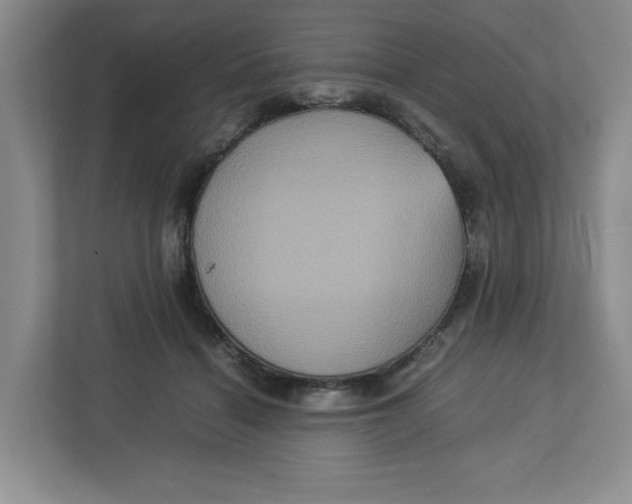 X0000112950460200909141411