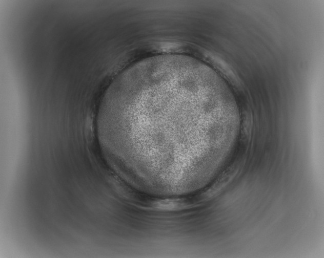 X0000112950461200909141411