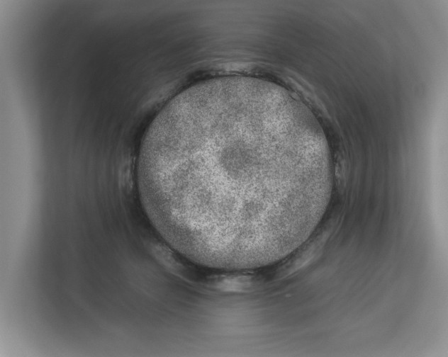 X0000112950462200909141411