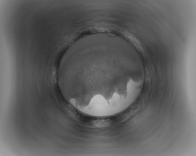 X0000112950465200909141411