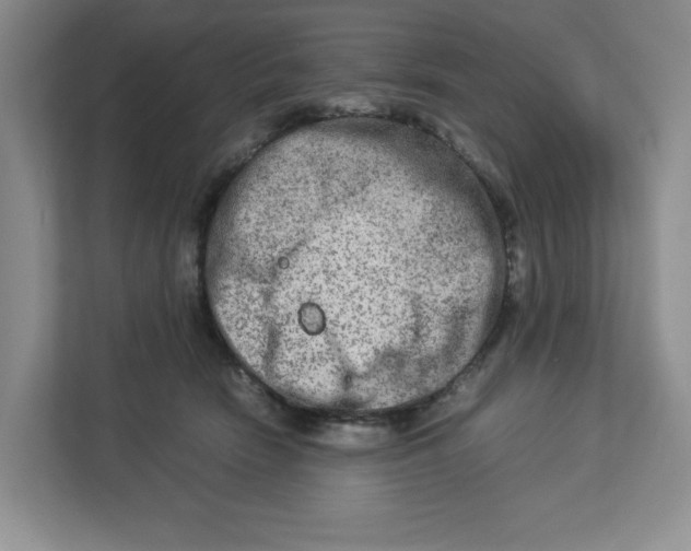 X0000112950466200909141411