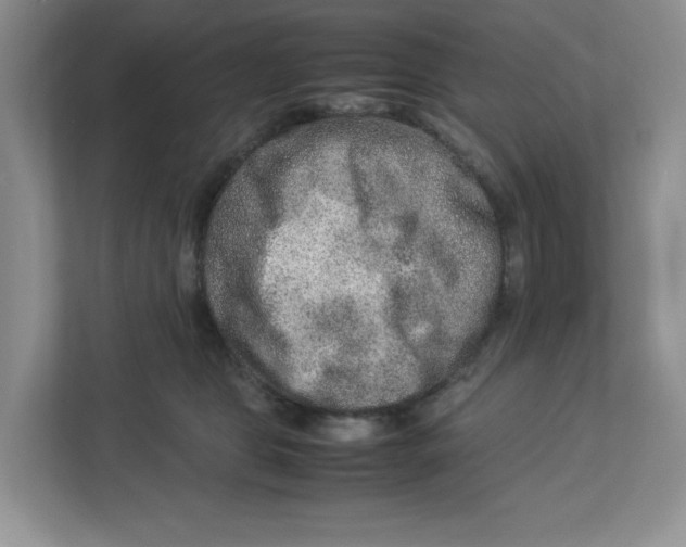 X0000112950469200909141411