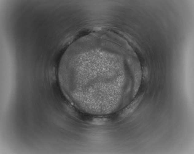 X0000112950470200909141411