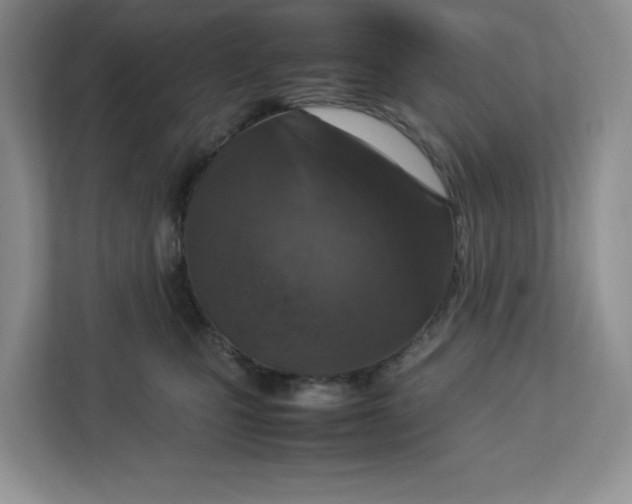 X0000112950471200909141411