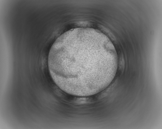 X0000112950473200909141411