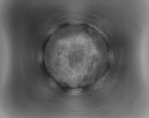 X0000112950474200909141411