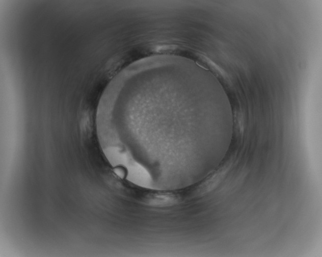 X0000112950475200909141411