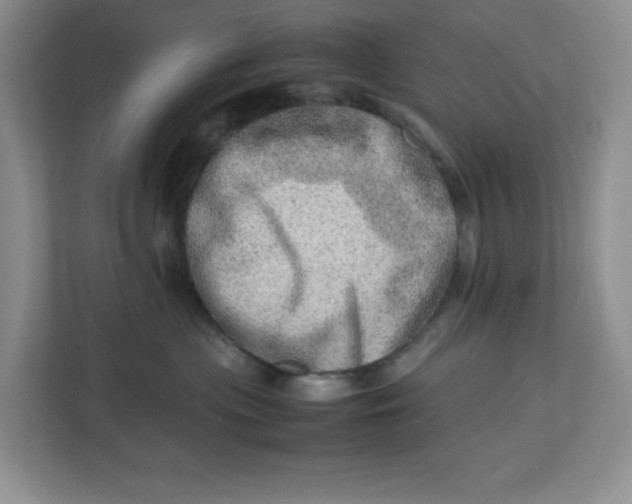 X0000112950477200909141411