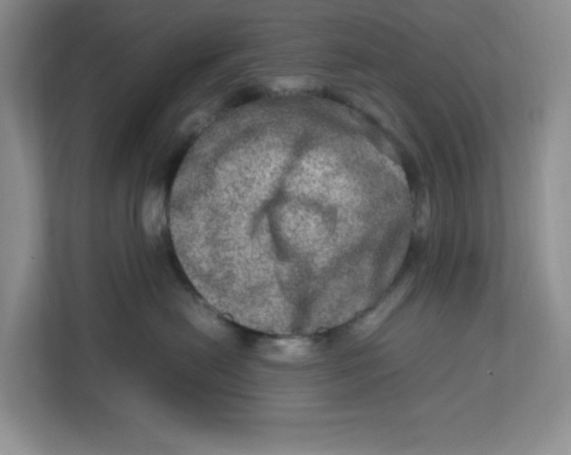 X0000112950478200909141411