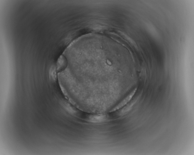 X0000112950479200909141411