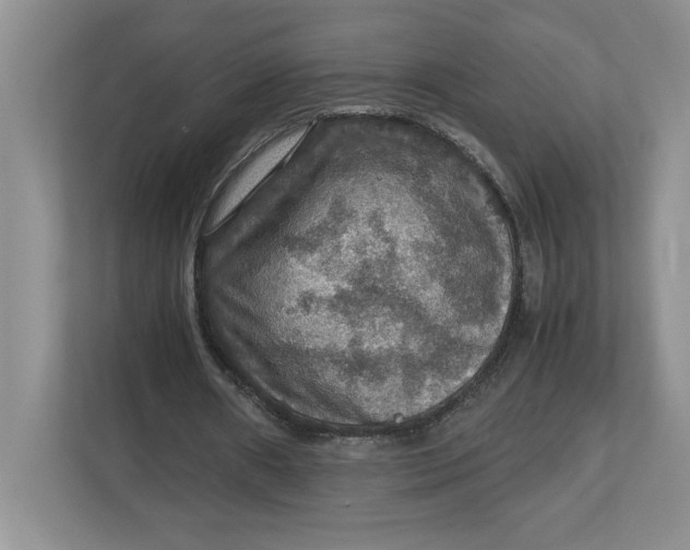 X0000112950482200909141411