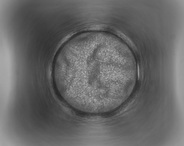 X0000112950483200909141411