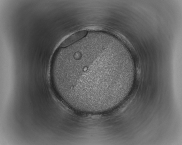 X0000112950484200909141411