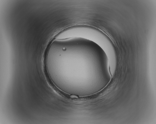 X0000112950485200909141411