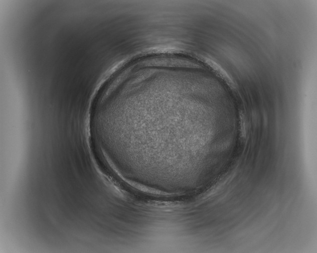 X0000112950486200909141411