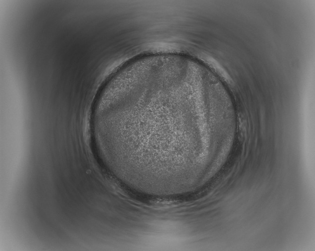 X0000112950487200909141411