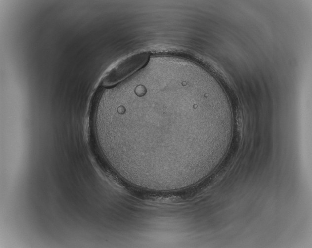 X0000112950488200909141411