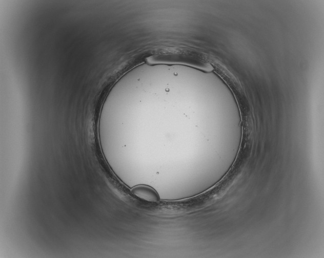 X0000112950489200909141411