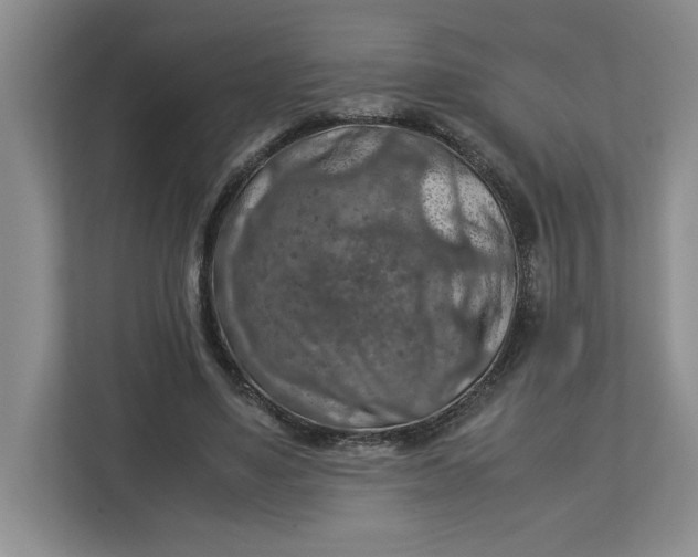 X0000112950491200909141411