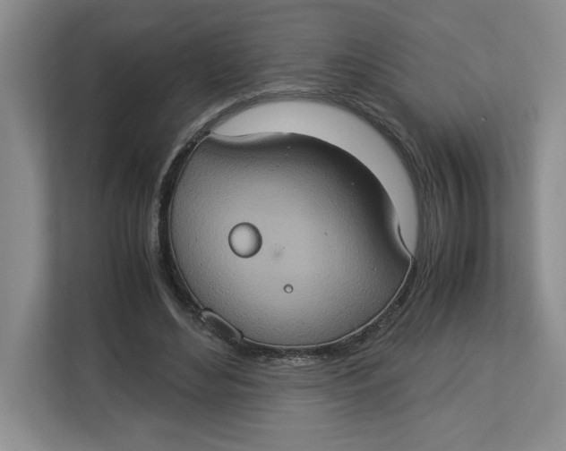 X0000112950492200909141411