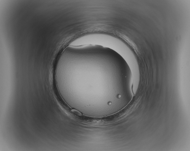 X0000112950493200909141411