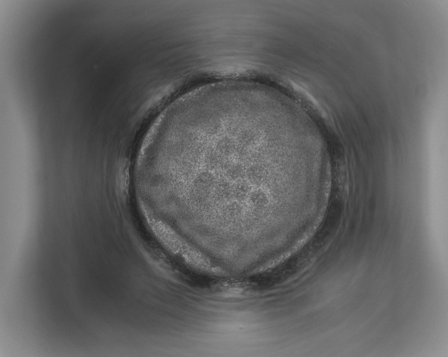 X0000112950495200909141411