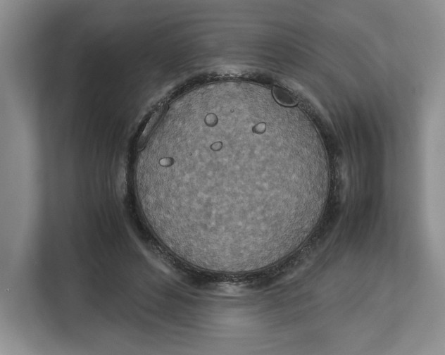 X0000112950496200909141411