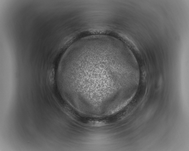 X0000112950498200909141411