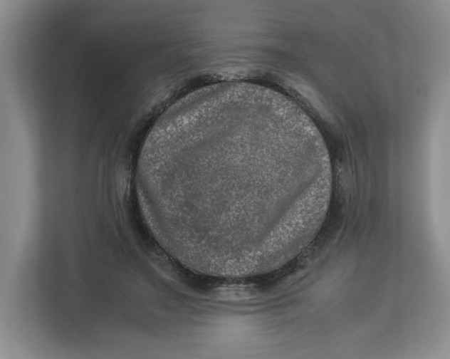 X0000112950499200909141410