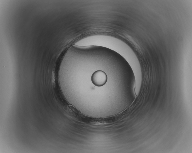 X0000112950500200909141410