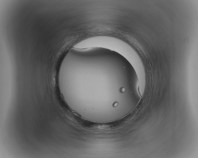 X0000112950501200909141410