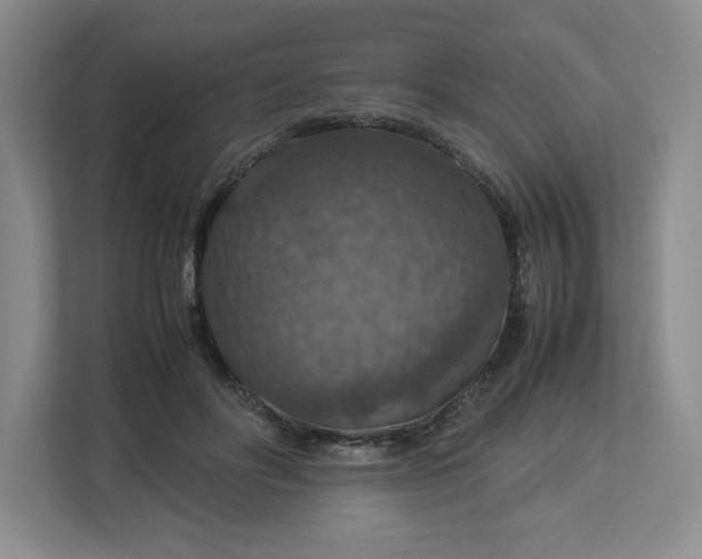 X0000112950502200909141410