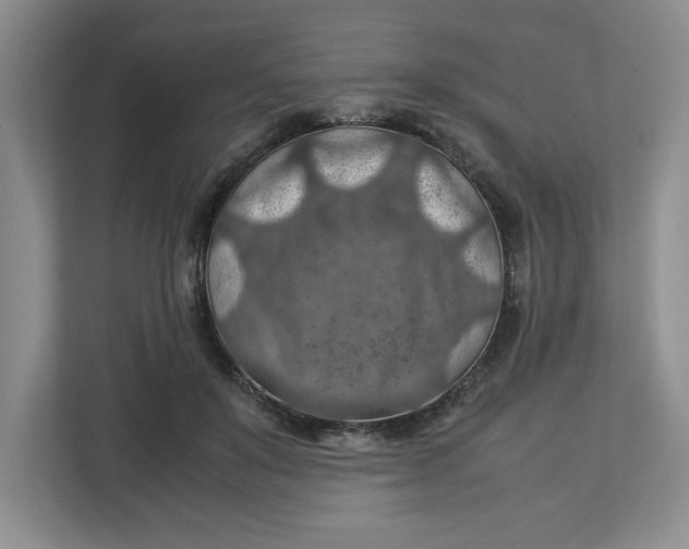 X0000112950503200909141410