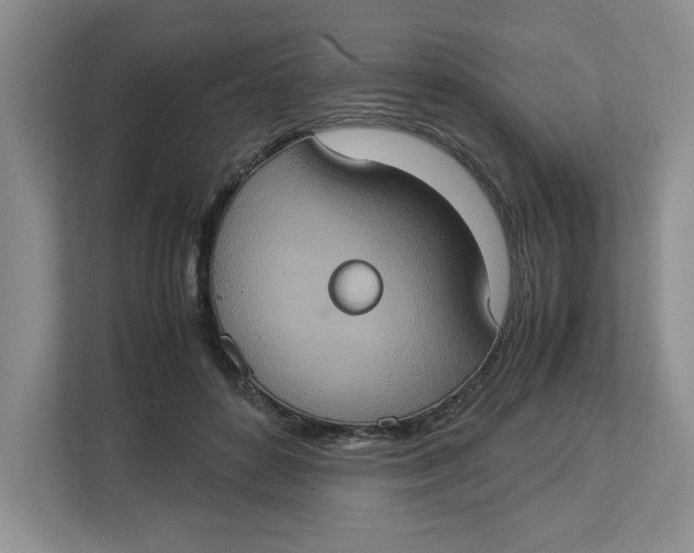 X0000112950504200909141410