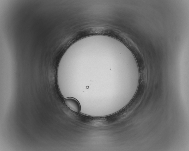 X0000112950505200909141410