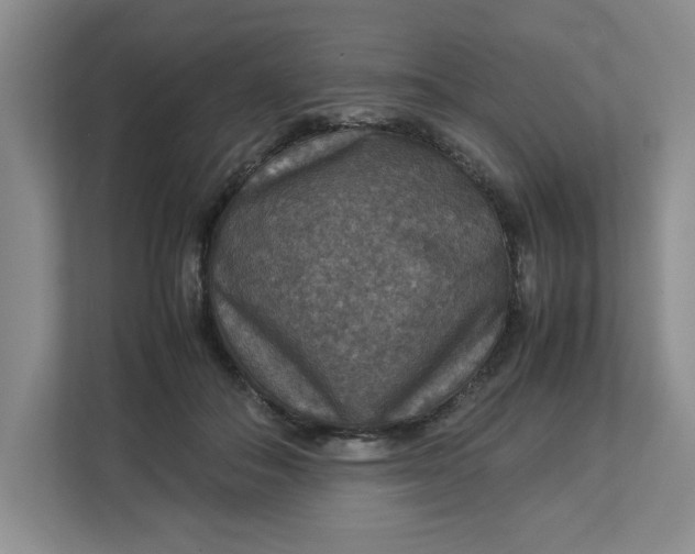 X0000112950506200909141410