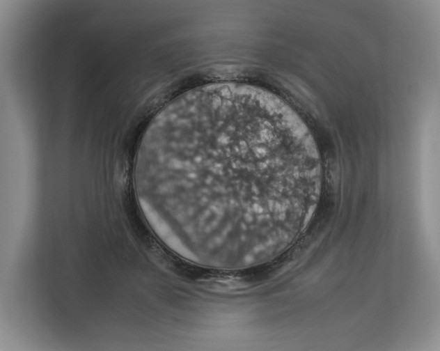 X0000112950507200909141410